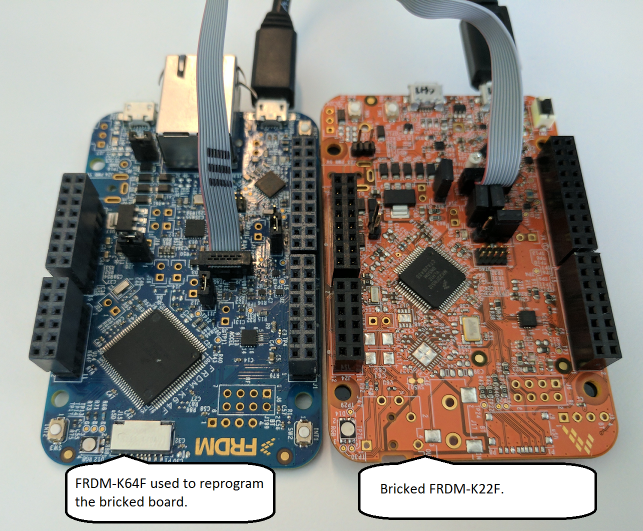 Using a FRDM-K64F as a debug probe to restore the bootloader on a FRDM-K22F.